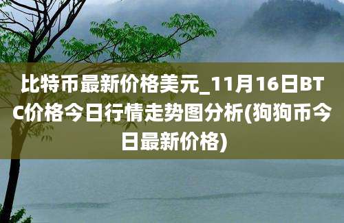 比特币最新价格美元_11月16日BTC价格今日行情走势图分析(狗狗币今日最新价格)