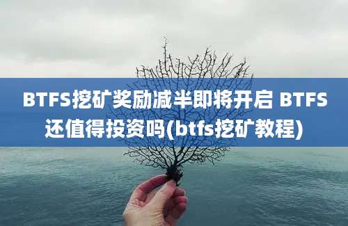 BTFS挖矿奖励减半即将开启 BTFS还值得投资吗(btfs挖矿教程)