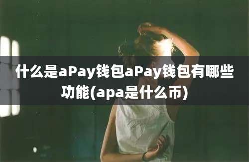 什么是aPay钱包aPay钱包有哪些功能(apa是什么币)