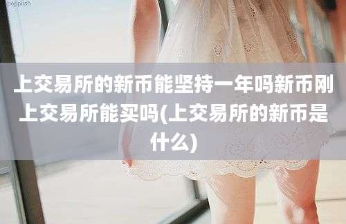 上交易所的新币能坚持一年吗新币刚上交易所能买吗(上交易所的新币是什么)