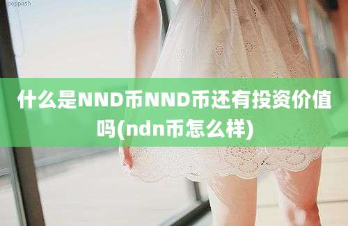 什么是NND币NND币还有投资价值吗(ndn币怎么样)