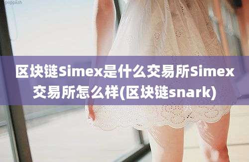 区块链Simex是什么交易所Simex交易所怎么样(区块链snark)