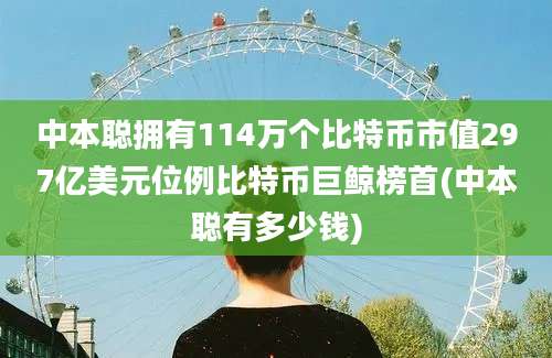 中本聪拥有114万个比特币市值297亿美元位例比特币巨鲸榜首(中本聪有多少钱)