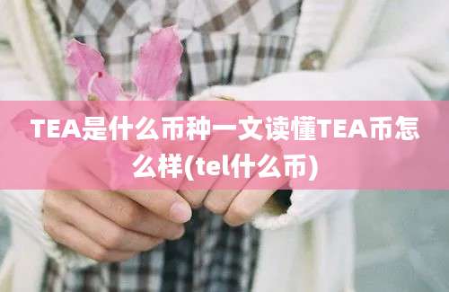 TEA是什么币种一文读懂TEA币怎么样(tel什么币)