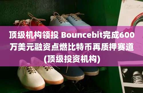 顶级机构领投 Bouncebit完成600万美元融资点燃比特币再质押赛道(顶级投资机构)