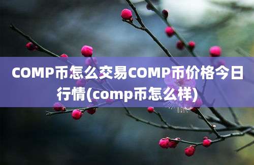 COMP币怎么交易COMP币价格今日行情(comp币怎么样)