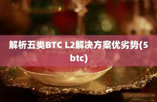 解析五类BTC L2解决方案优劣势(5btc)