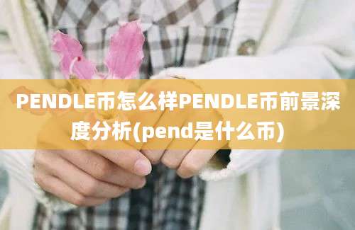 PENDLE币怎么样PENDLE币前景深度分析(pend是什么币)