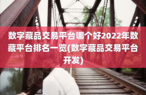 数字藏品交易平台哪个好2022年数藏平台排名一览(数字藏品交易平台开发)