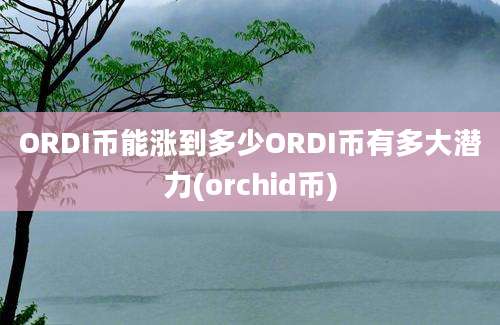 ORDI币能涨到多少ORDI币有多大潜力(orchid币)