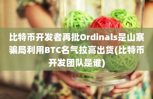 比特币开发者再批Ordinals是山寨骗局利用BTC名气拉高出货(比特币开发团队是谁)