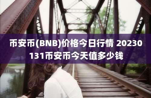 币安币(BNB)价格今日行情 20230131币安币今天值多少钱