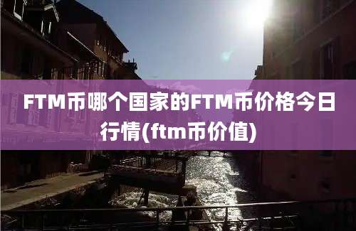 FTM币哪个国家的FTM币价格今日行情(ftm币价值)