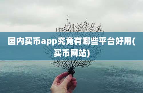 国内买币app究竟有哪些平台好用(买币网站)