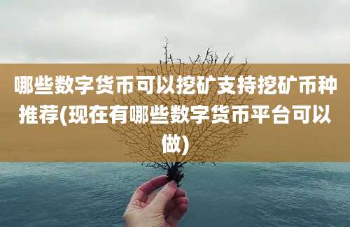 哪些数字货币可以挖矿支持挖矿币种推荐(现在有哪些数字货币平台可以做)