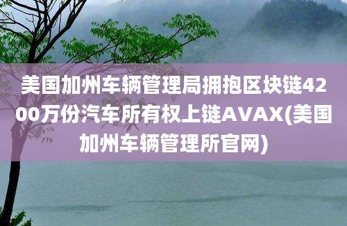 美国加州车辆管理局拥抱区块链4200万份汽车所有权上链AVAX(美国加州车辆管理所官网)