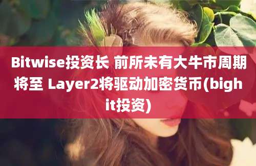 Bitwise投资长 前所未有大牛市周期将至 Layer2将驱动加密货币(bighit投资)