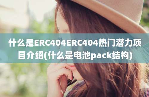 什么是ERC404ERC404热门潜力项目介绍(什么是电池pack结构)