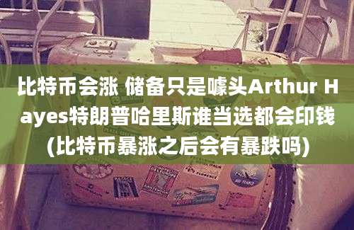 比特币会涨 储备只是噱头Arthur Hayes特朗普哈里斯谁当选都会印钱(比特币暴涨之后会有暴跌吗)