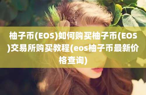 柚子币(EOS)如何购买柚子币(EOS)交易所购买教程(eos柚子币最新价格查询)