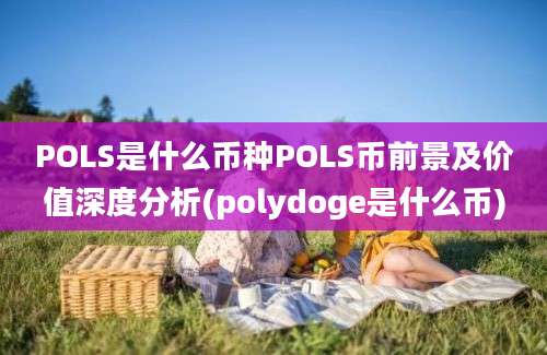 POLS是什么币种POLS币前景及价值深度分析(polydoge是什么币)