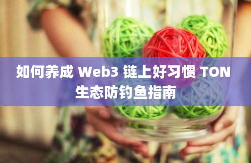 如何养成 Web3 链上好习惯 TON 生态防钓鱼指南