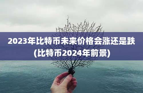 2023年比特币未来价格会涨还是跌(比特币2024年前景)