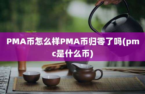 PMA币怎么样PMA币归零了吗(pmc是什么币)