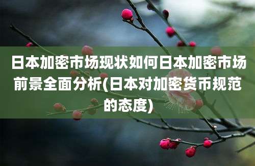 日本加密市场现状如何日本加密市场前景全面分析(日本对加密货币规范的态度)