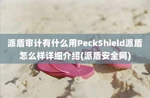 派盾审计有什么用PeckShield派盾怎么样详细介绍(派盾安全网)