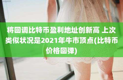 将回调比特币盈利地址创新高 上次类似状况是2021年牛市顶点(比特币价格回弹)