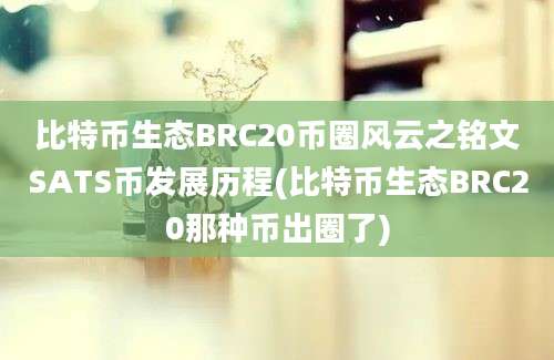 比特币生态BRC20币圈风云之铭文SATS币发展历程(比特币生态BRC20那种币出圈了)