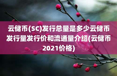 云储币(SC)发行总量是多少云储币发行量发行价和流通量介绍(云储币2021价格)