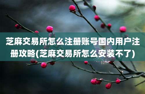 芝麻交易所怎么注册账号国内用户注册攻略(芝麻交易所怎么安装不了)