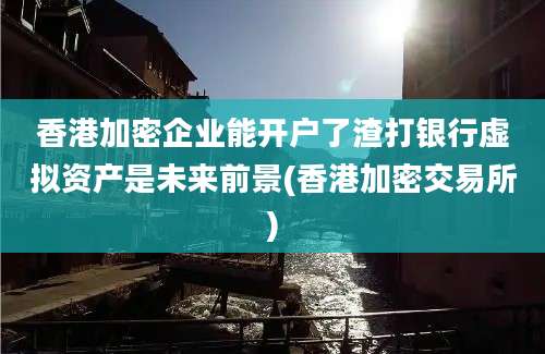 香港加密企业能开户了渣打银行虚拟资产是未来前景(香港加密交易所)