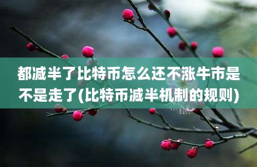 都减半了比特币怎么还不涨牛市是不是走了(比特币减半机制的规则)