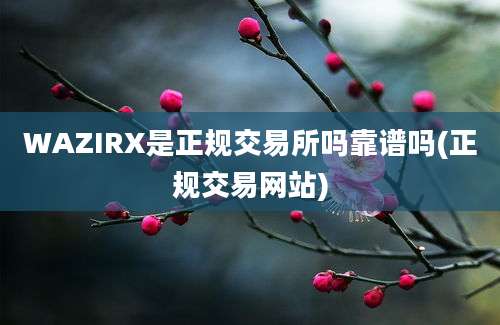 WAZIRX是正规交易所吗靠谱吗(正规交易网站)