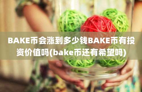 BAKE币会涨到多少钱BAKE币有投资价值吗(bake币还有希望吗)