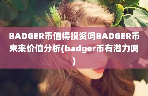 BADGER币值得投资吗BADGER币未来价值分析(badger币有潜力吗)