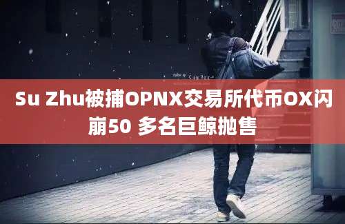 Su Zhu被捕OPNX交易所代币OX闪崩50 多名巨鲸抛售