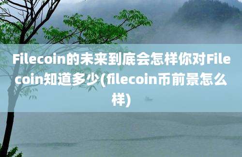 Filecoin的未来到底会怎样你对Filecoin知道多少(filecoin币前景怎么样)