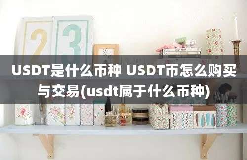 USDT是什么币种 USDT币怎么购买与交易(usdt属于什么币种)