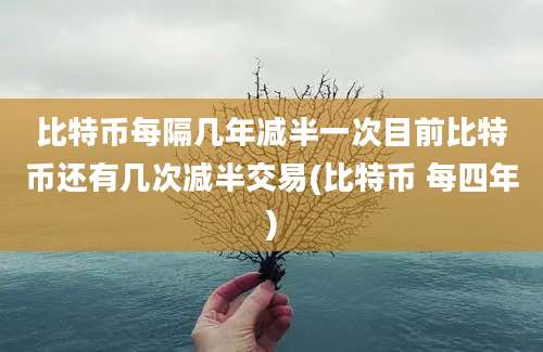 比特币每隔几年减半一次目前比特币还有几次减半交易(比特币 每四年)