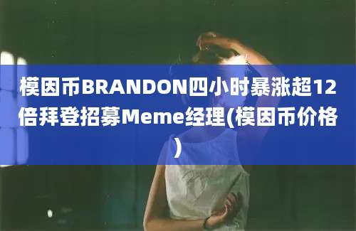 模因币BRANDON四小时暴涨超12倍拜登招募Meme经理(模因币价格)