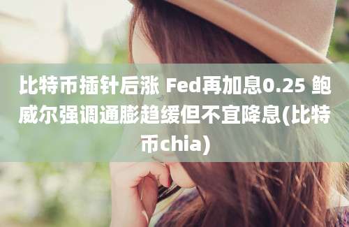 比特币插针后涨 Fed再加息0.25 鲍威尔强调通膨趋缓但不宜降息(比特币chia)