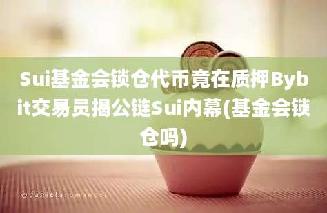 Sui基金会锁仓代币竟在质押Bybit交易员揭公链Sui内幕(基金会锁仓吗)