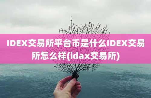 IDEX交易所平台币是什么IDEX交易所怎么样(idax交易所)