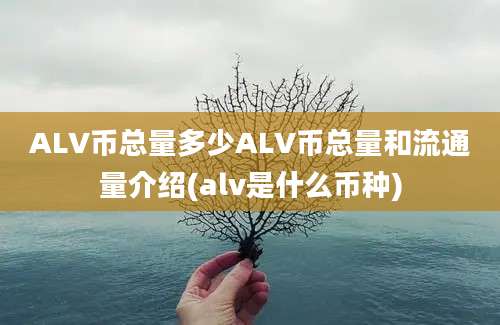 ALV币总量多少ALV币总量和流通量介绍(alv是什么币种)