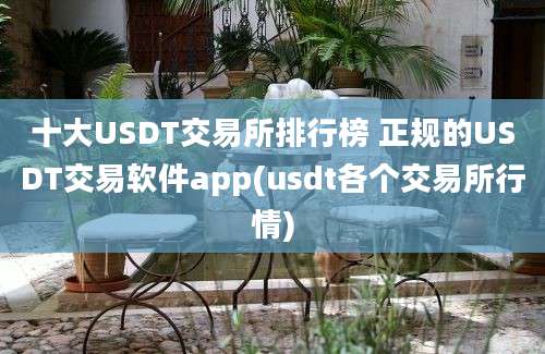 十大USDT交易所排行榜 正规的USDT交易软件app(usdt各个交易所行情)