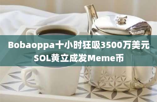 Bobaoppa十小时狂吸3500万美元SOL黄立成发Meme币